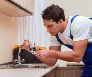 About Emergency plumbing pros Free Soil, MI